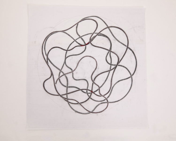 織田 憲嗣 SAVOYの迷宮